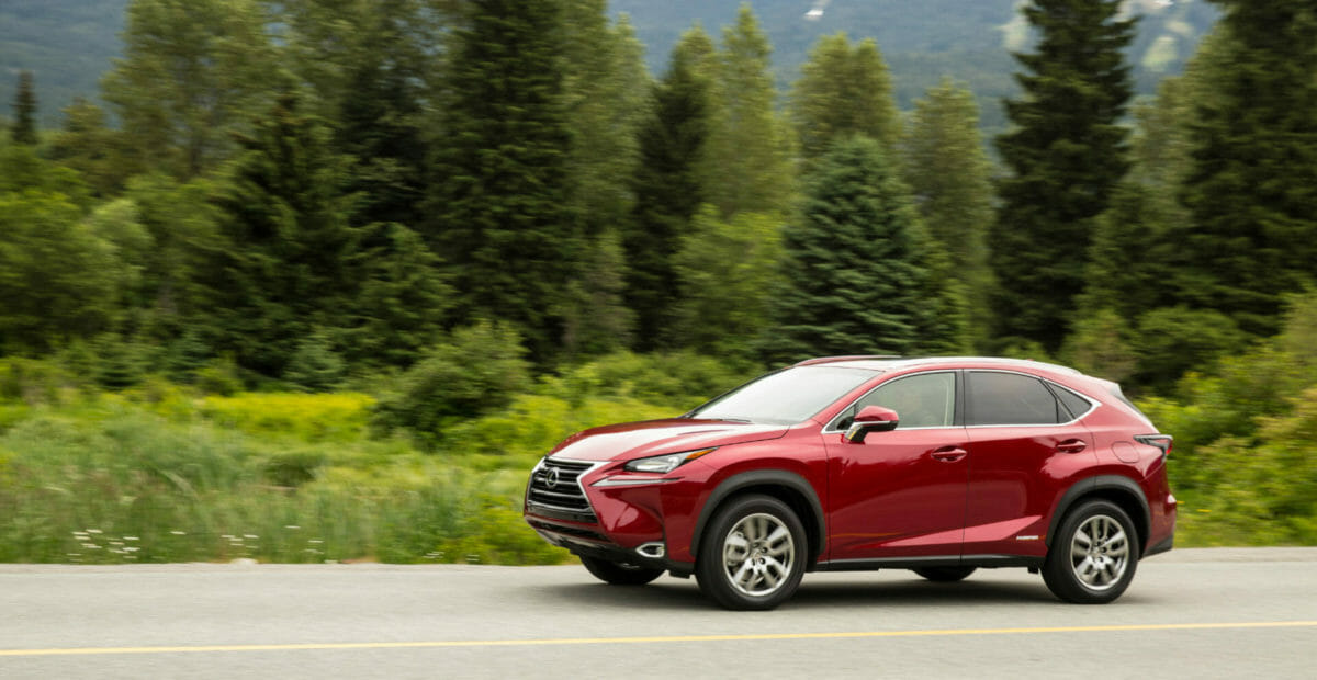 2019 Lexus NX 300h - Photo by Lexus